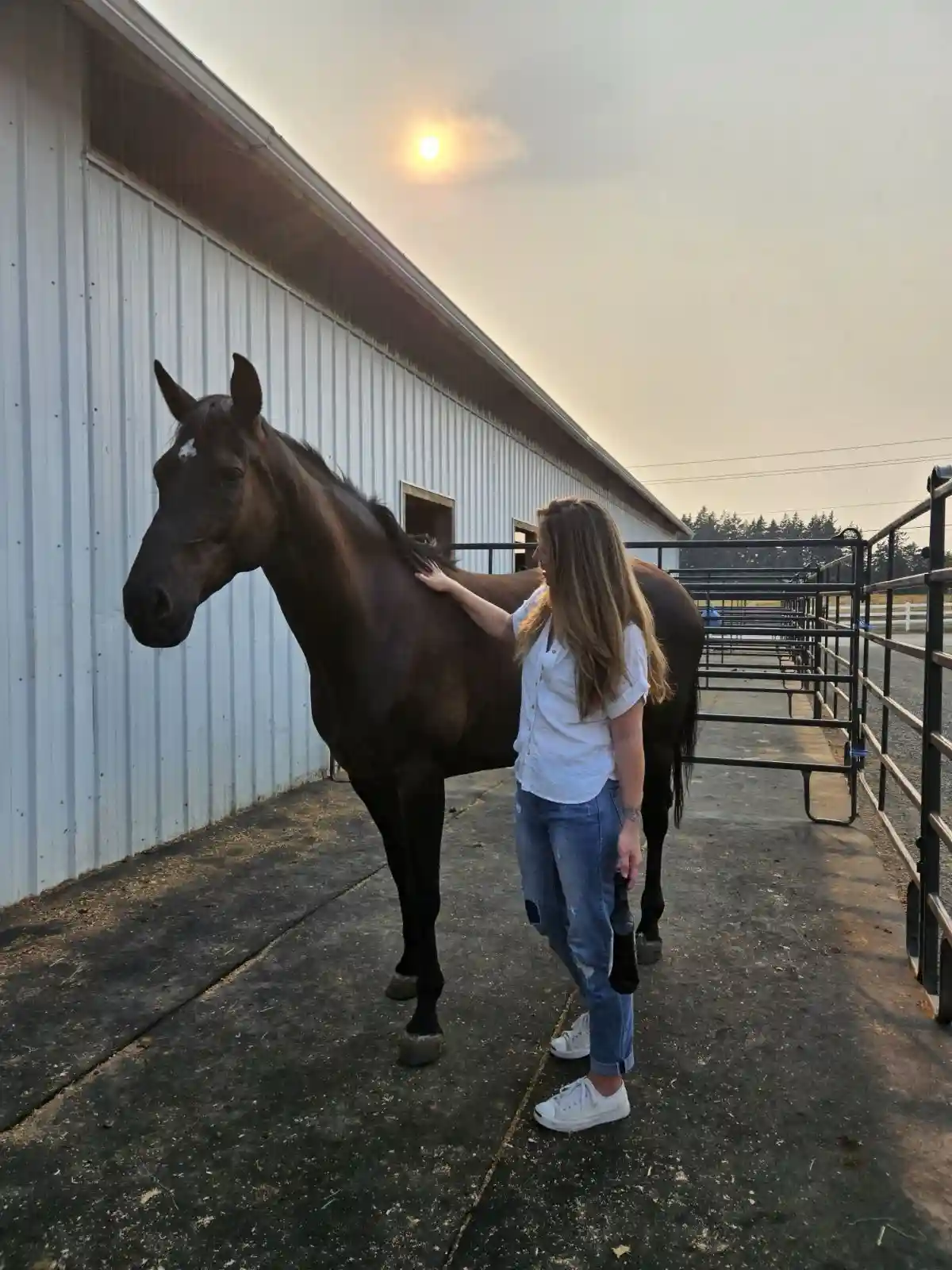 A woman in a white shirt and jeans is petting a dark brown horse standing beside a white metal barn. The sun is low in the…