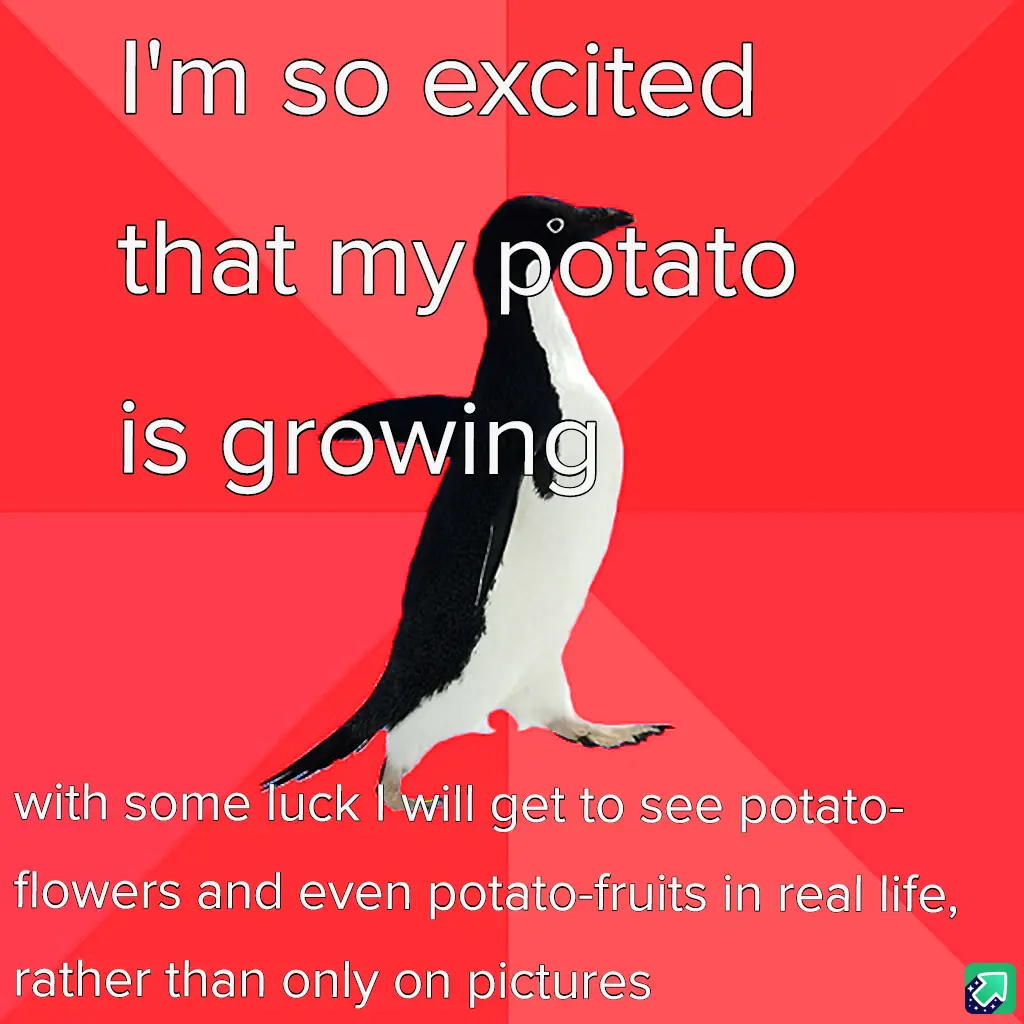 A black-and-white penguin stands against a red background with diagonal stripes. White text overlaid on the image reads…