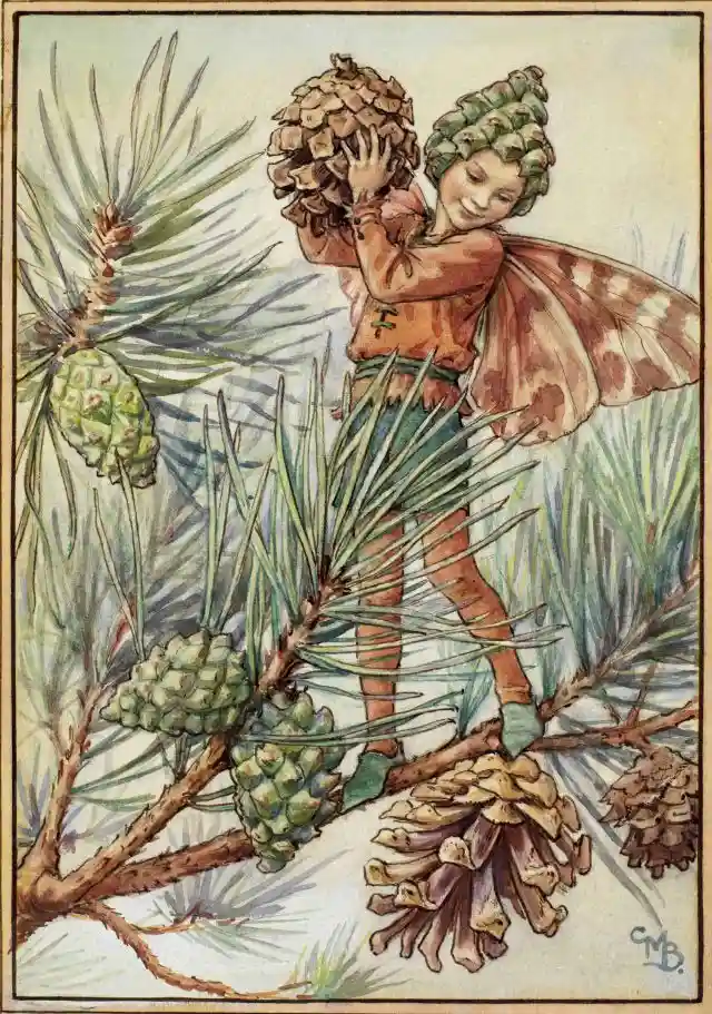 The Enchanting Pine Cone Fairy