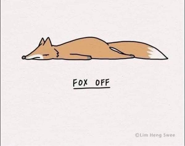 A simple cartoon drawing of a fox lying flat on its side, appearing to be sleeping or resting. Below the fox, the text 'FOX…