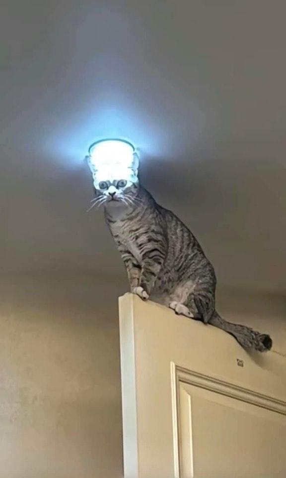 A tabby cat sits atop a closed door, looking upward with wide eyes. Its head has been digitally replaced with a glowing…
