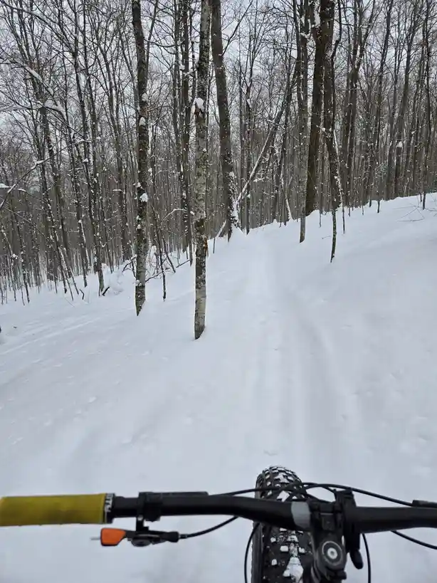 A first-person view from a fatbike rider on a snowy trail through a dense, snow-covered forest with bare trees. The bike's…