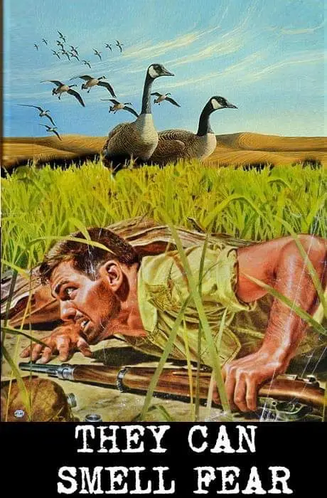Random photo dump: Treasures I've saved on my computer - Part 3