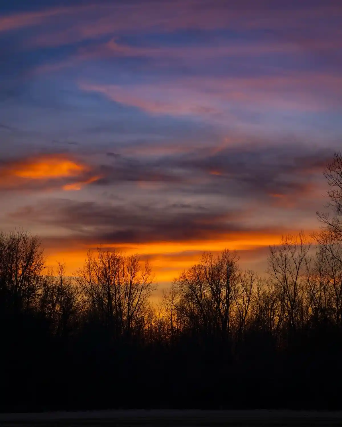 A serene sunset photo showing silhouetted bare trees against a vibrant sky with orange, purple, and blue hues. The overlaid…