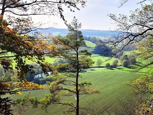 A scenic landscape photo shows rolling green hills, a river, and autumn-colored trees framed by branches in the foreground…