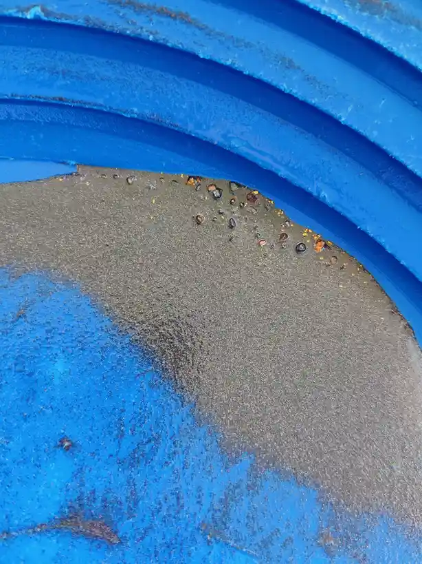 A close-up photo shows the inside of a blue plastic bucket with sand and small pebbles at the bottom, where the bucket's…