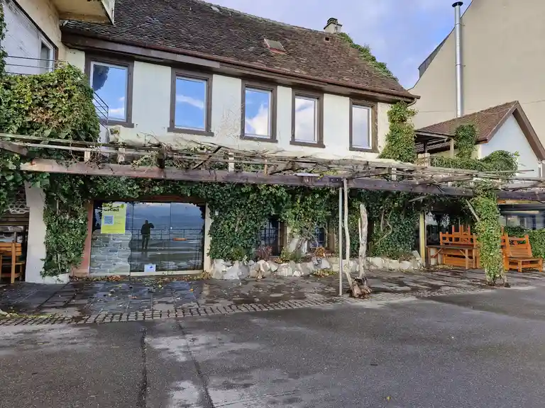 A photo of a vine-covered building with a wooden pergola, showing a reflection of a person taking a photo in the glass door…