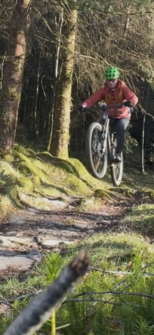 A person wearing a green helmet and red jacket rides a mountain bike through a forest, airborne over a mossy root-covered…