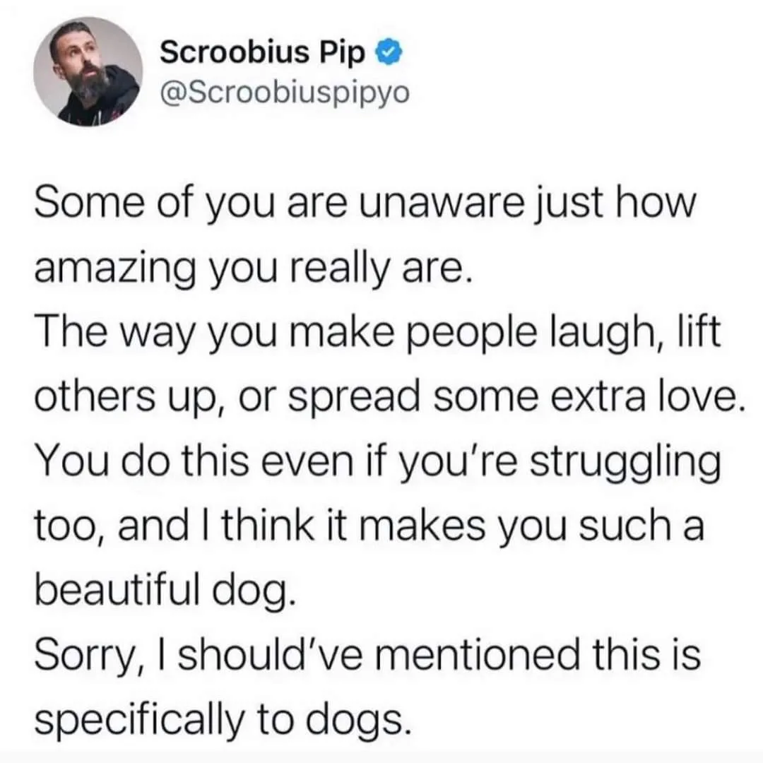 A screenshot of a tweet by verified Twitter user Scroobius Pip, whose profile picture shows a man with a beard. The tweet…
