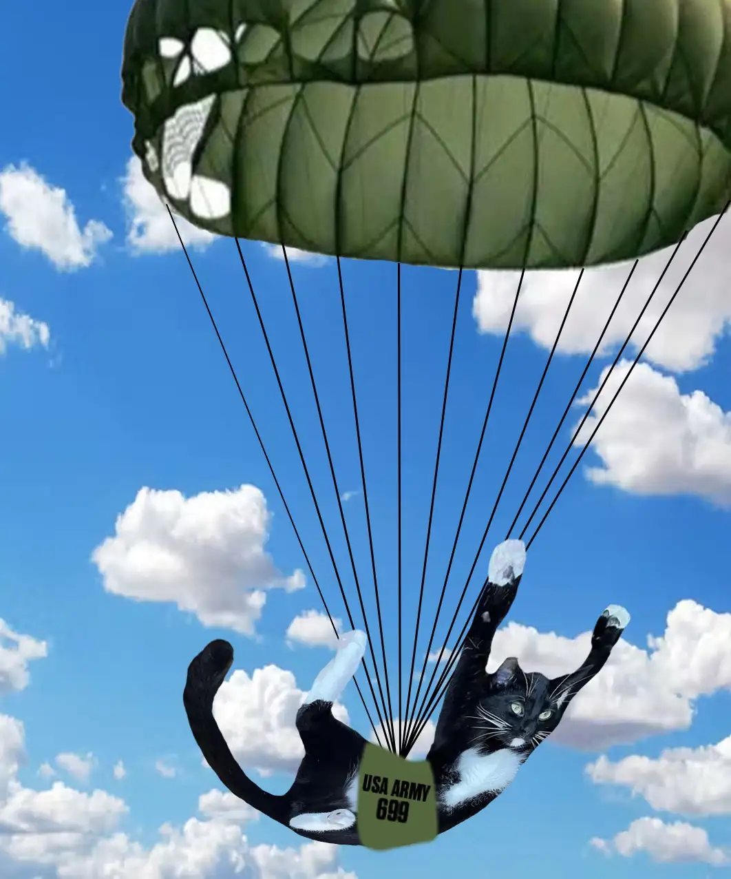 A black and white cat is depicted parachuting through a blue sky with fluffy white clouds, suspended beneath a green…
