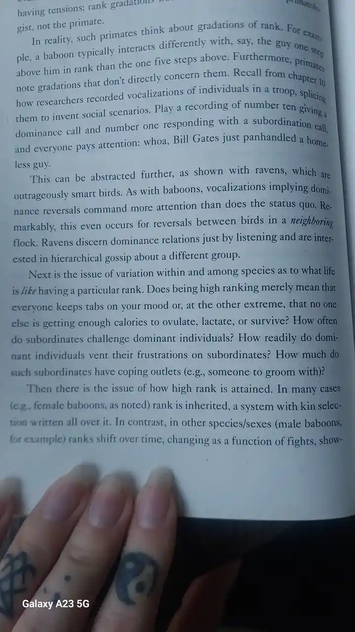 A close-up photo shows a person's hand with tattoos holding open a book page about primate social hierarchies. The text…