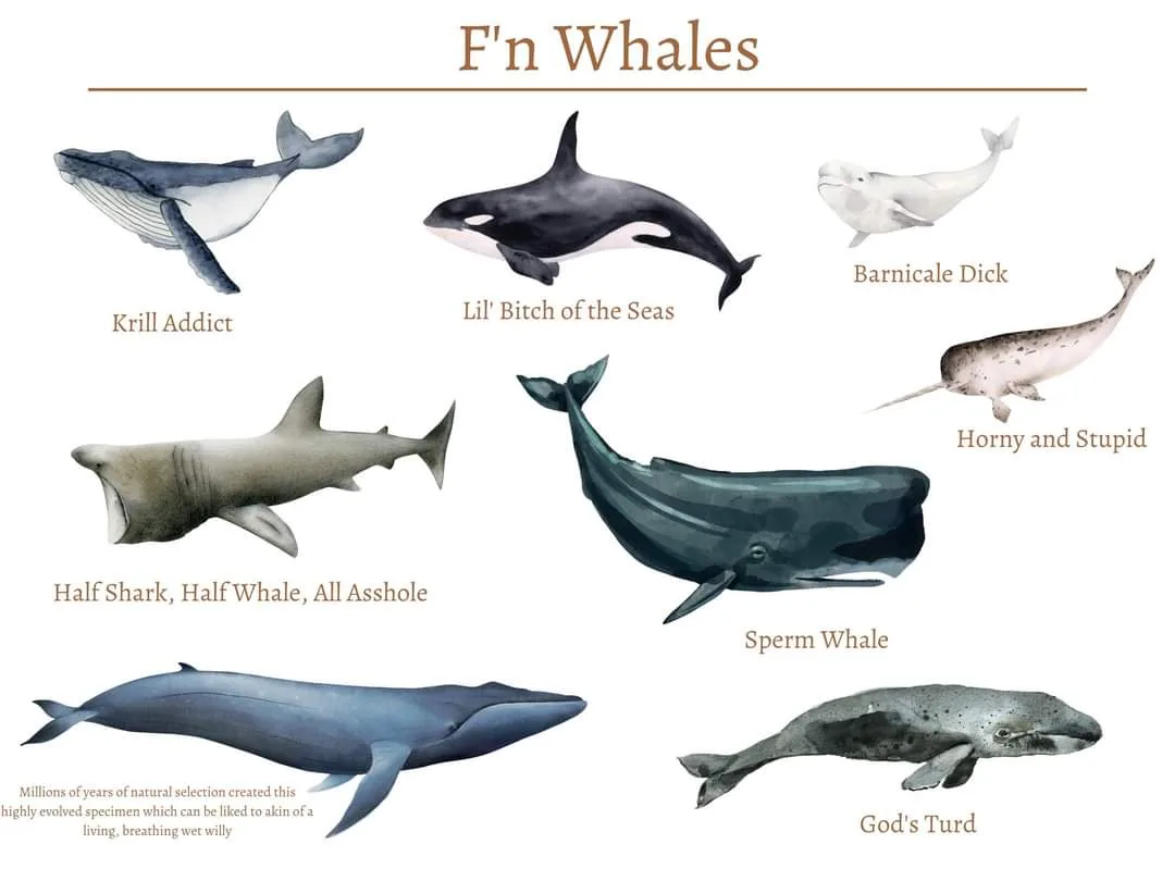 An illustrated chart titled 'F'n Whales' displays seven different whale and whale-like species, each labeled with a crude…