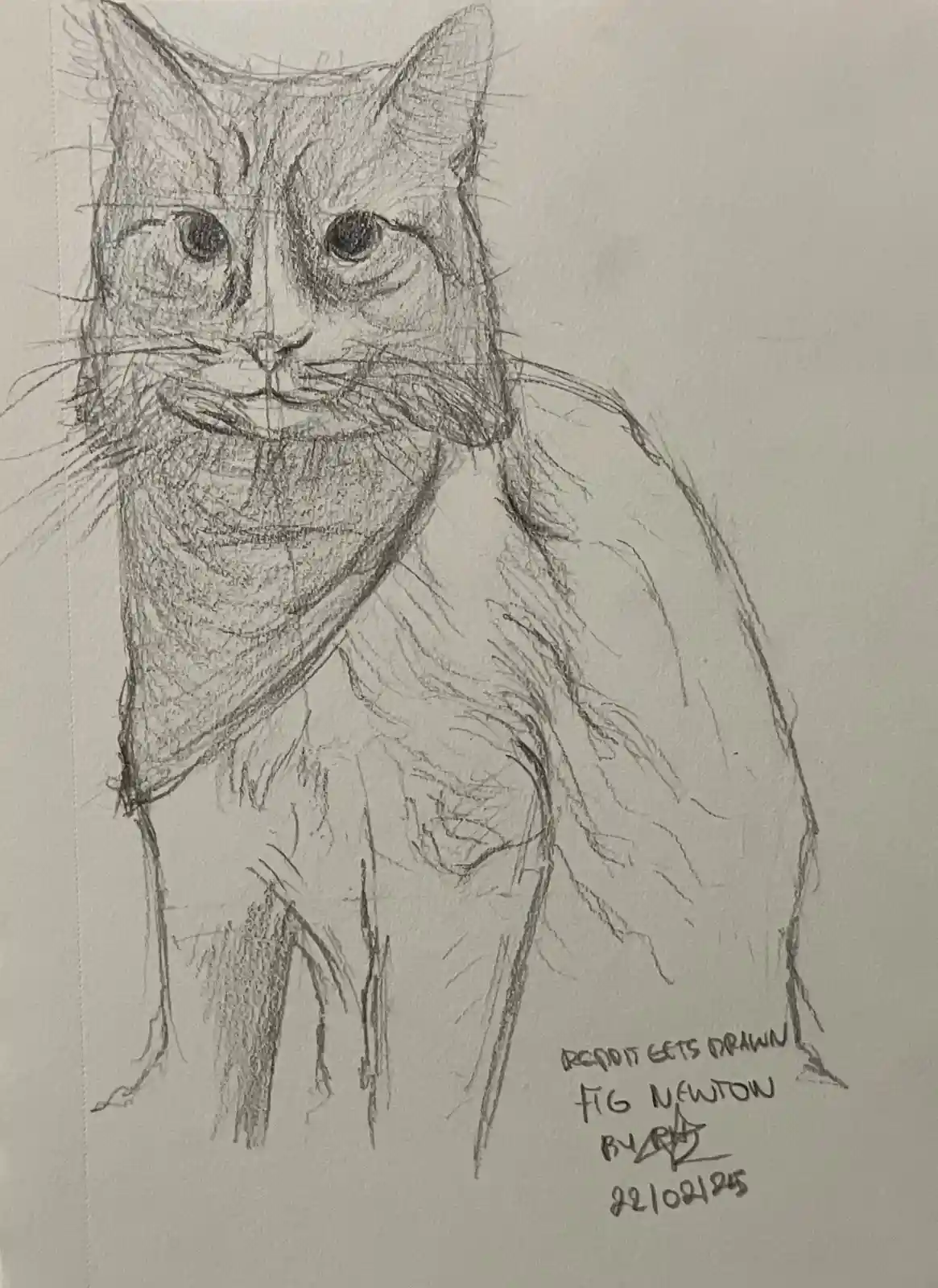 A pencil sketch of a cat with a human-like face and body, drawn in a realistic style with visible sketch lines. The text in…