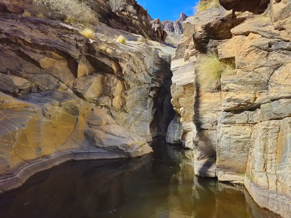 A scenic photo of a narrow canyon with a calm stream flowing between steep, sunlit rock walls covered in sparse desert…