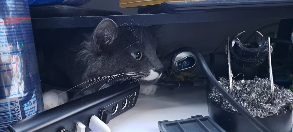 A gray cat with a white muzzle peeks out from under a desk, its face positioned next to a small camera lens. The scene…