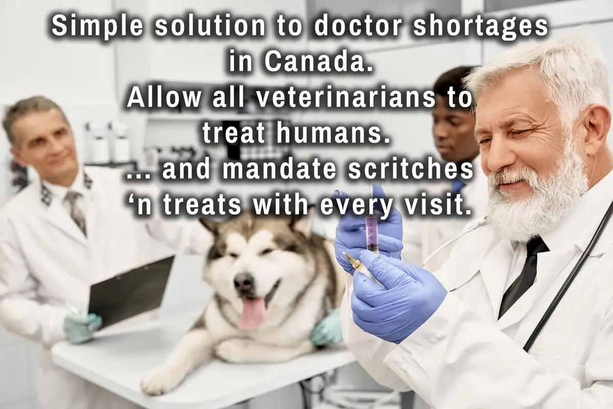 Better Than a Trip to the ER for a Rabies Shot, I Guess