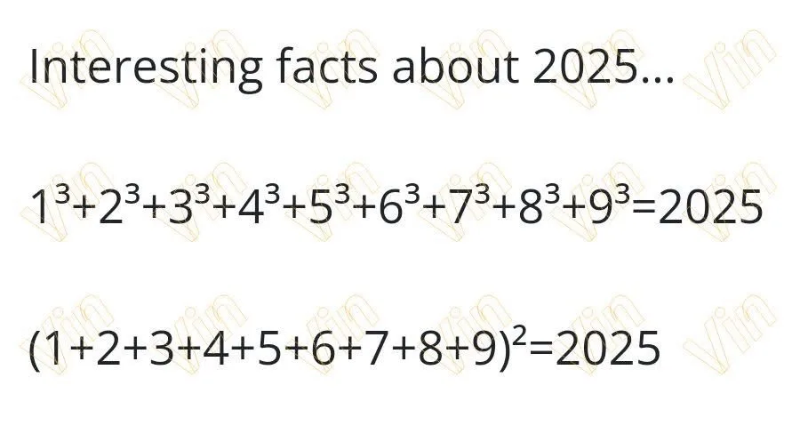 The Intriguing Concept of the Perfect Square