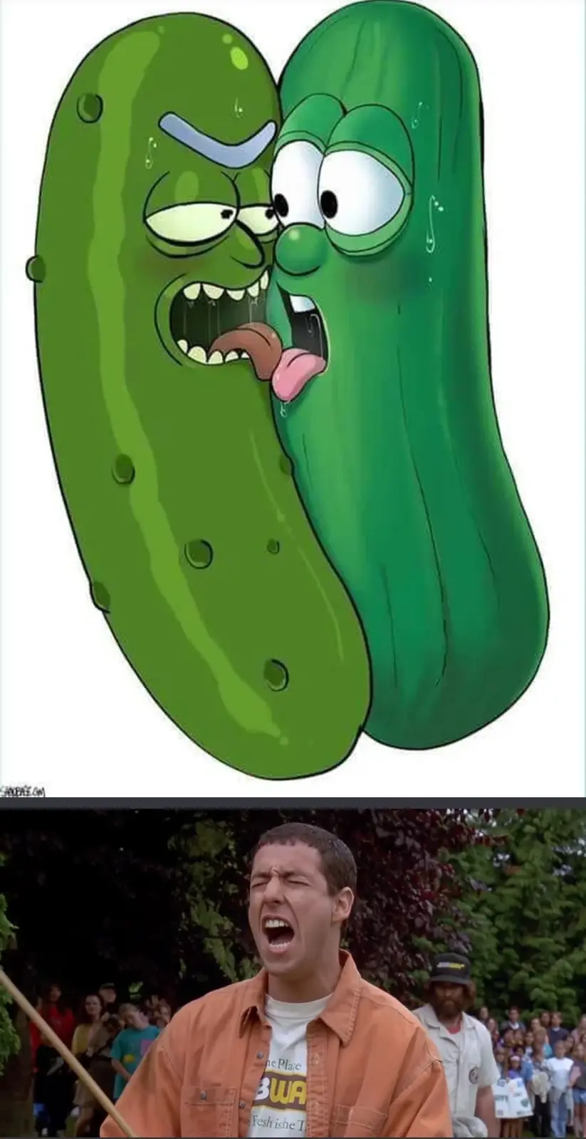 Introducing Flickle the Pickle: A Quirky Character