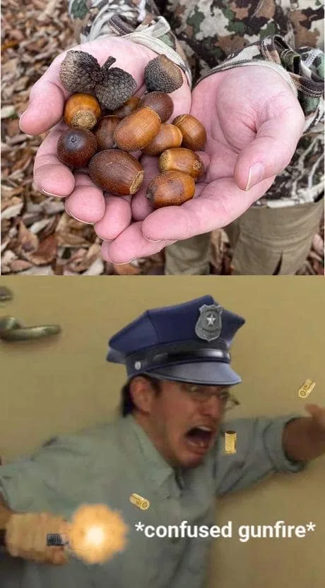 Top panel: A person in camouflage holds a handful of acorns in their cupped hands over a bed of fallen leaves. Bottom panel…
