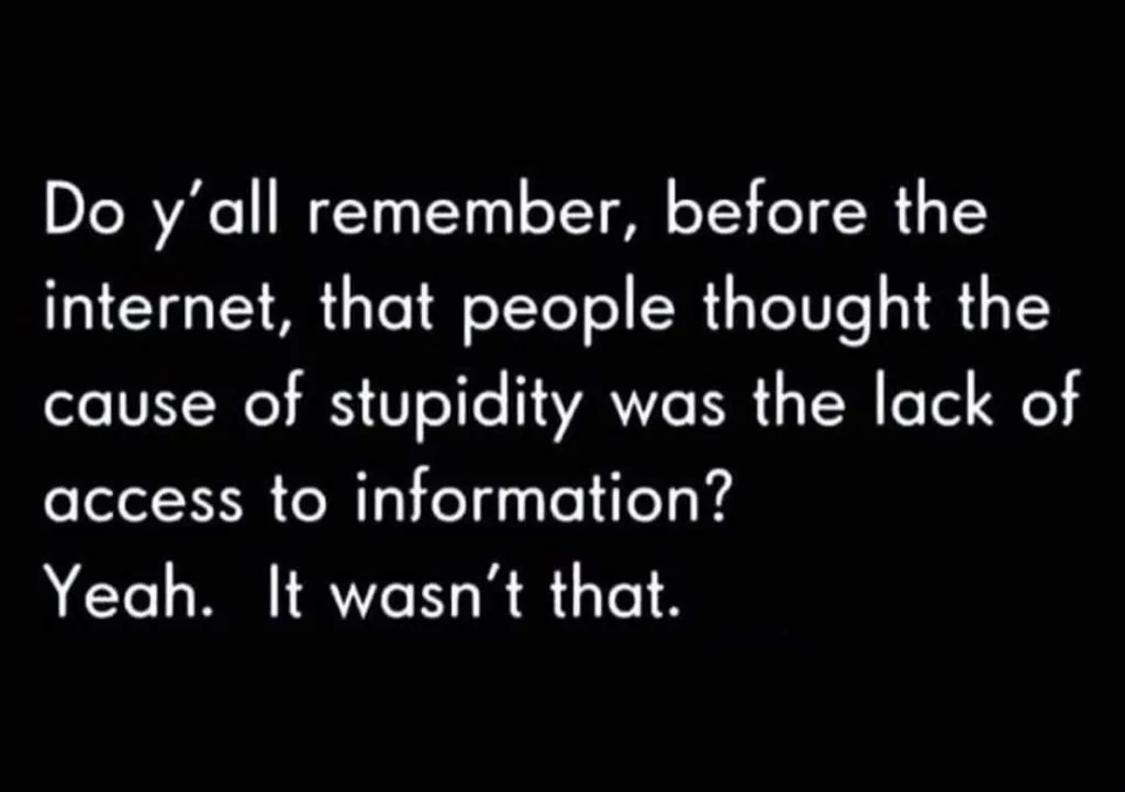 A black background with white text that reads: 'Do y’all remember, before the internet, that people thought the cause of…
