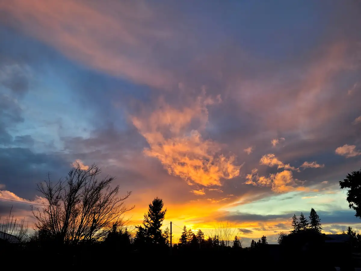 A vibrant sunset photo showing a sky filled with orange, pink, and blue clouds above silhouetted trees and houses. The…