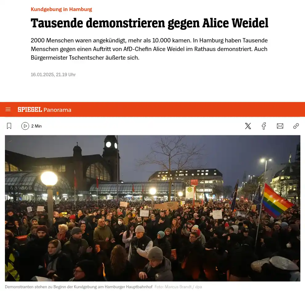 A screenshot of a Spiegel news article shows a large nighttime protest in Hamburg, with thousands of demonstrators holding…