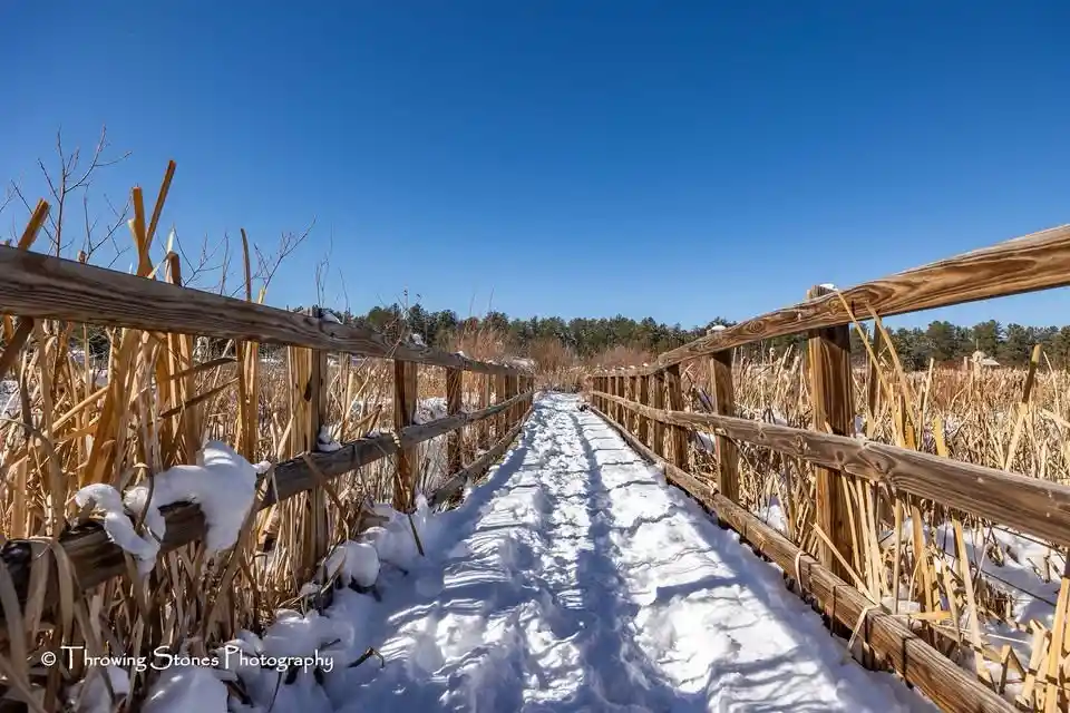 A snowy wooden boardwalk winds through tall, dry reeds under a clear blue sky, with footprints visible in the snow. Overlaid…