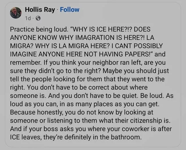 A screenshot of a social media post by Hollis Ray with a long text overlay that humorously advises people to 'practice being…