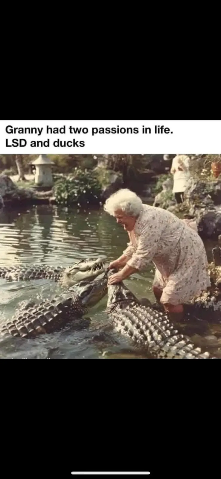 This is just too cute!