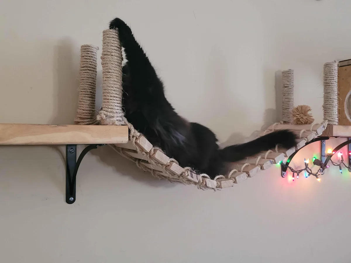 A black cat is stretched out on a wooden and rope hammock-style cat shelf, reaching up with one paw to scratch a sisal post…