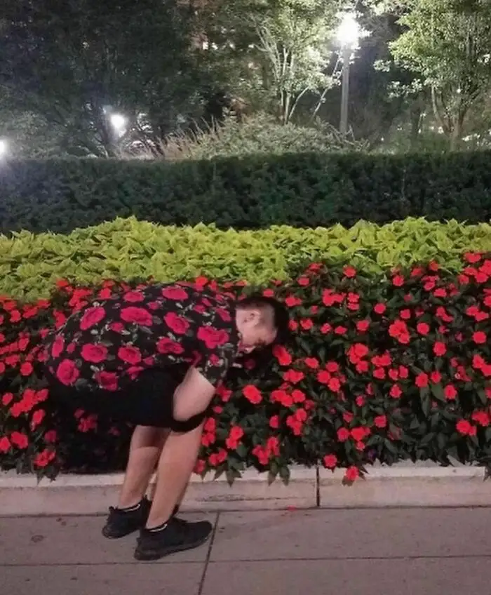 a man in a black shirt with red rose patterns is bent over, his head buried in a row of bright red flowers at night. He…
