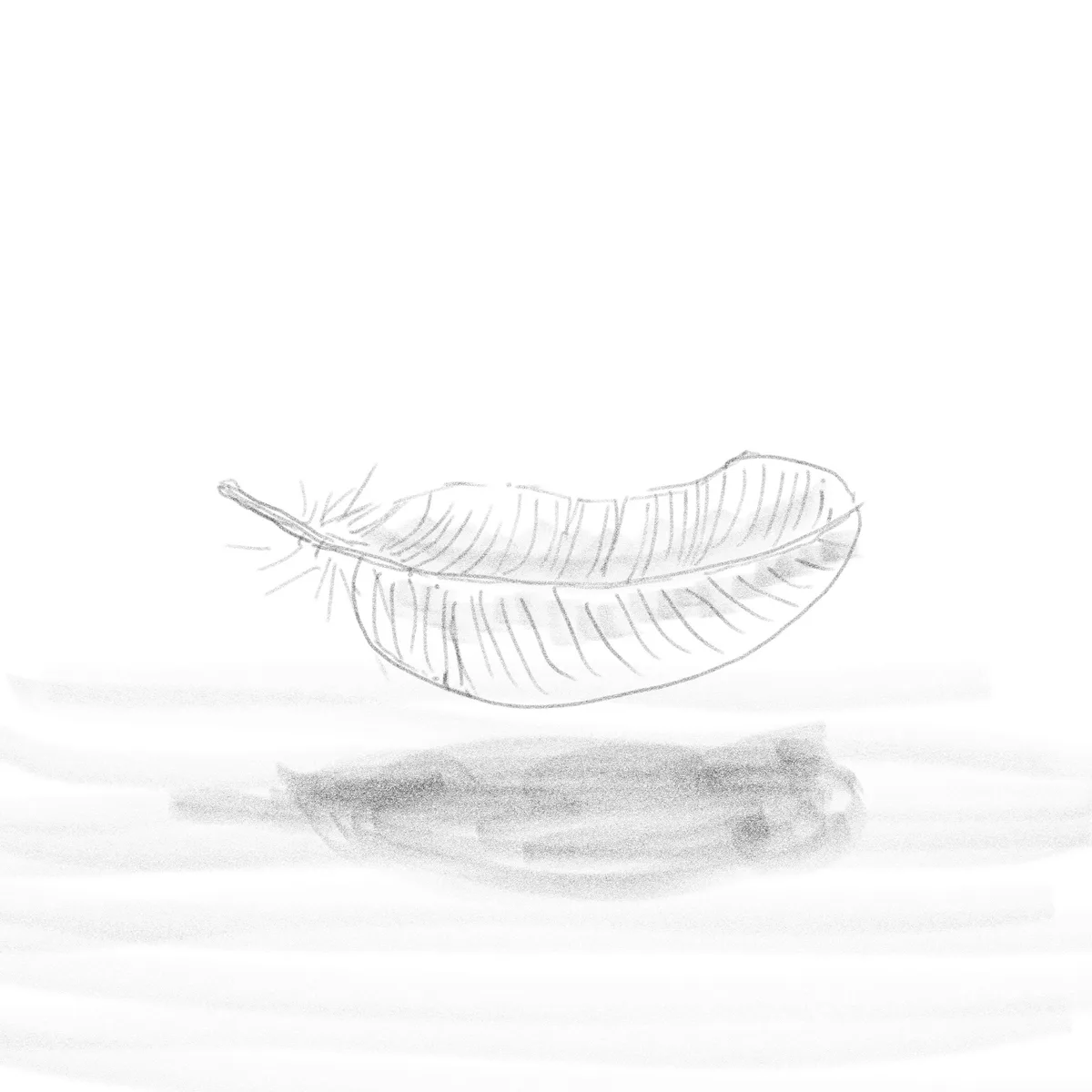 A simple pencil sketch shows a single feather floating above a blurred, shadowy surface. The feather is detailed with fine…