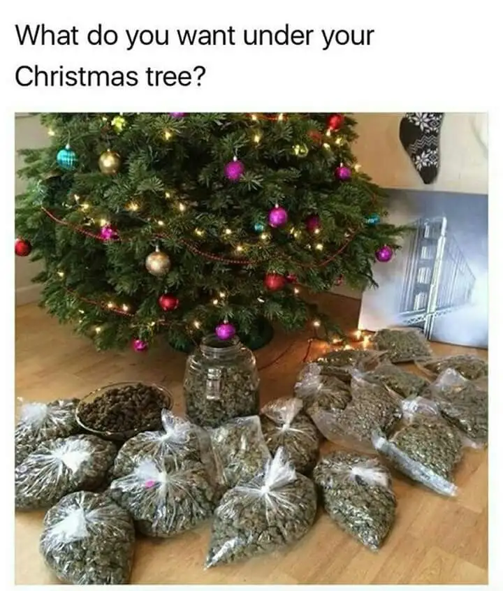 A decorated Christmas tree with lights and ornaments stands on a wooden floor, surrounded by numerous clear plastic bags and…