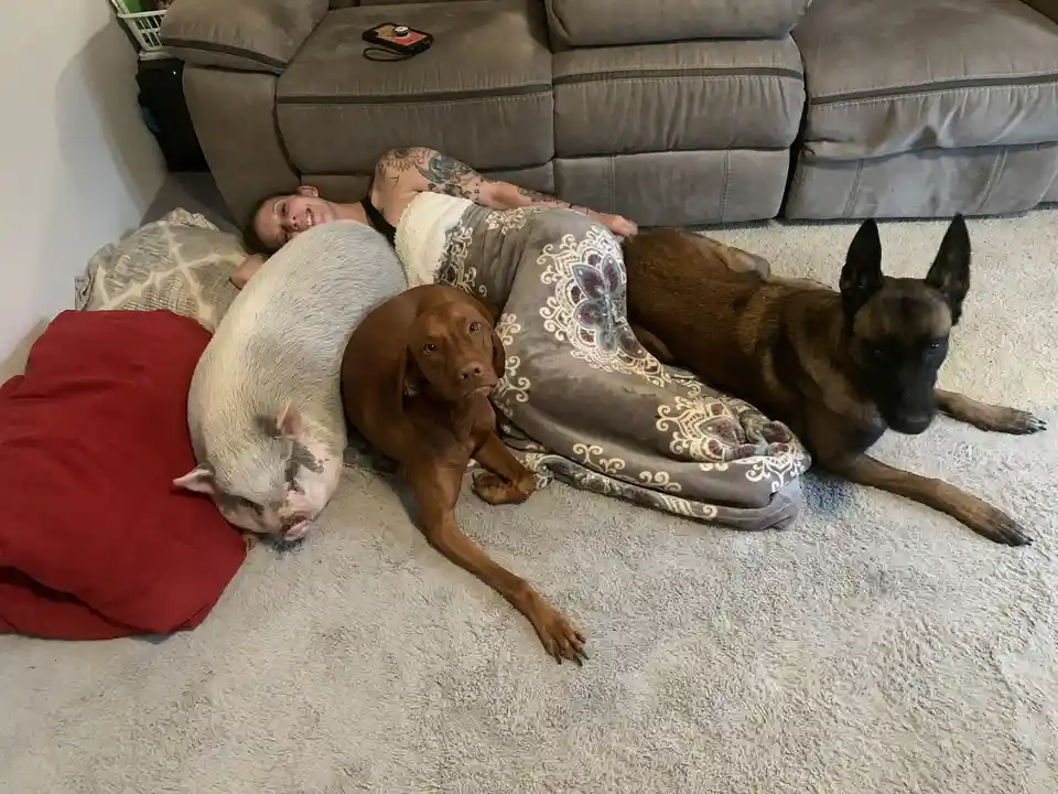Cozy Moments on the Carpet