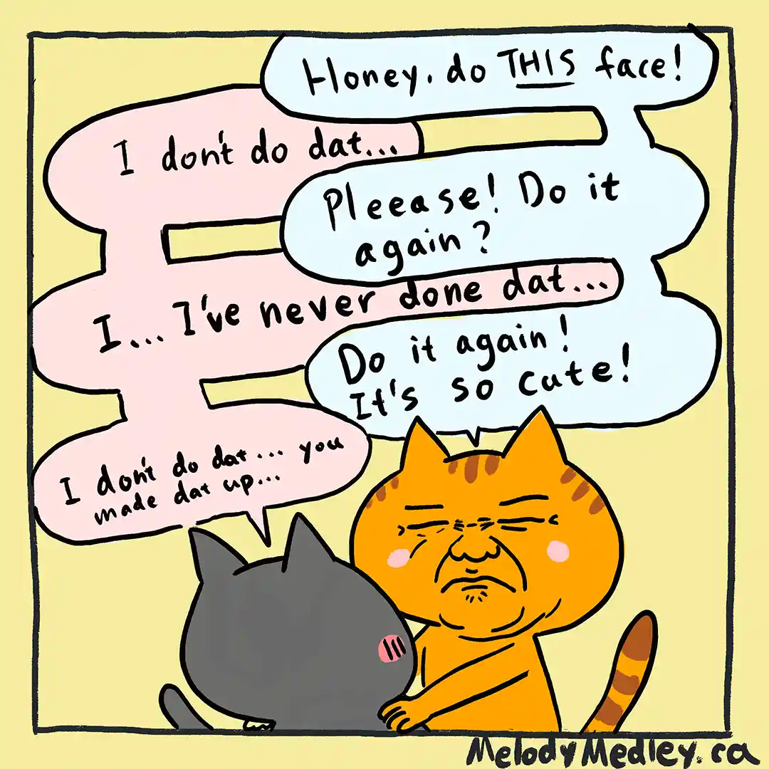 A cartoon depicts an orange cat with a strained, unamused expression being begged by a gray cat to make a specific face. The…
