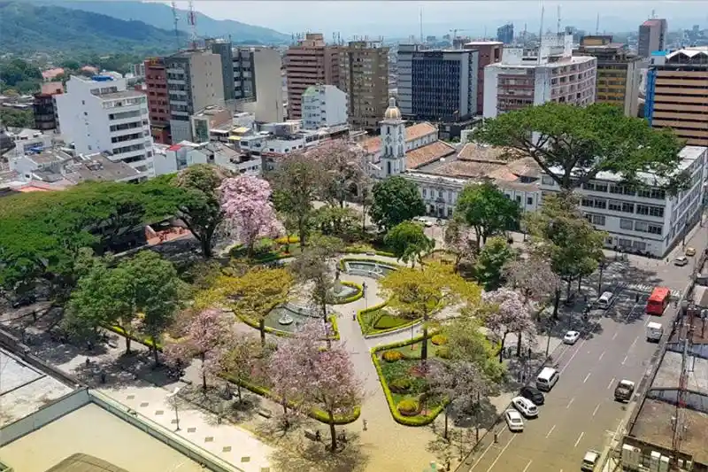 An aerial photo of a vibrant city park with blooming pink trees, manicured greenery, and surrounding urban buildings…