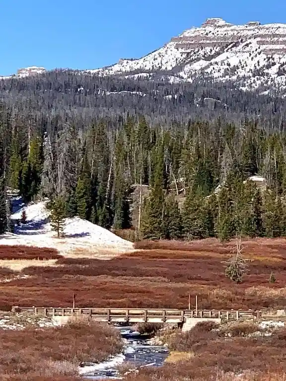A scenic mountain landscape with snow-capped peaks, evergreen forests, and a wooden bridge over a stream in a reddish-brown…