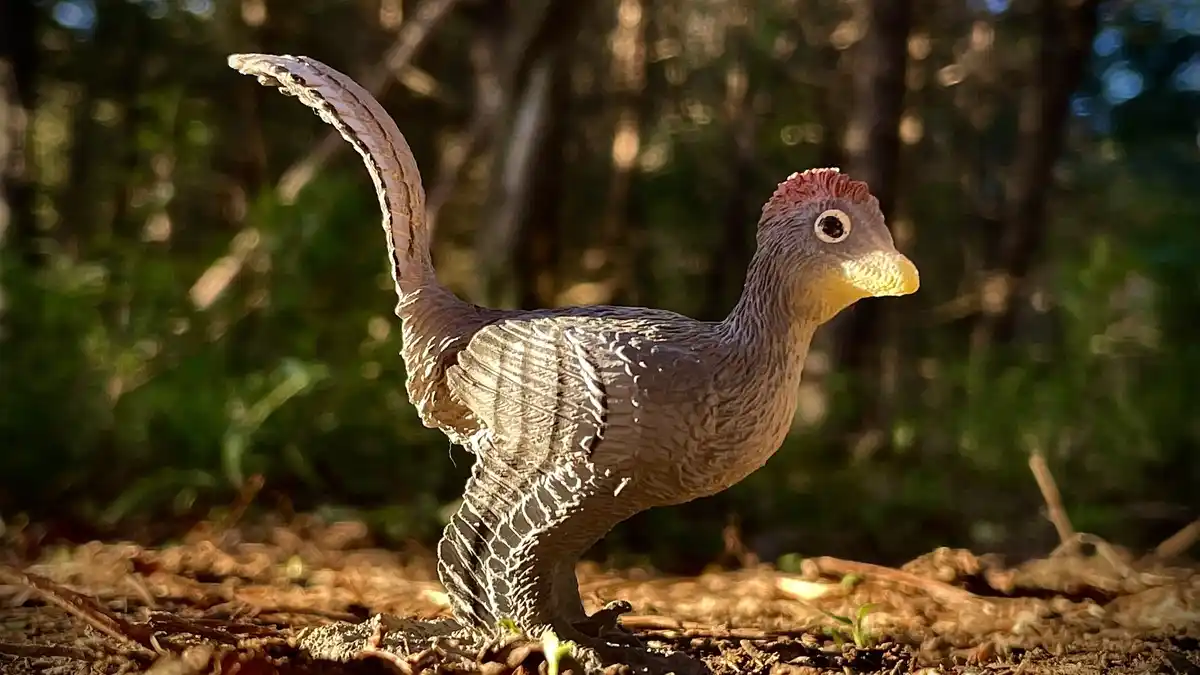 A plastic toy dinosaur with a bird-like head and feathered body stands in a forest setting, its tail raised. The overlaid…