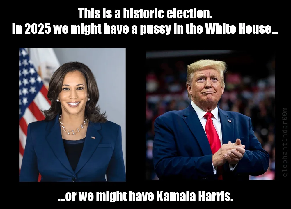 The image displays two side-by-side photos: on the left, Kamala Harris smiling in front of an American flag, and on the…