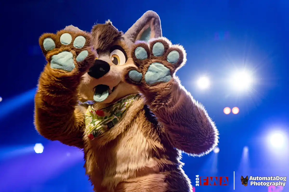 A person in a detailed brown and grey furry wolf costume with large blue paw pads raises both paws in a surprised or excited…