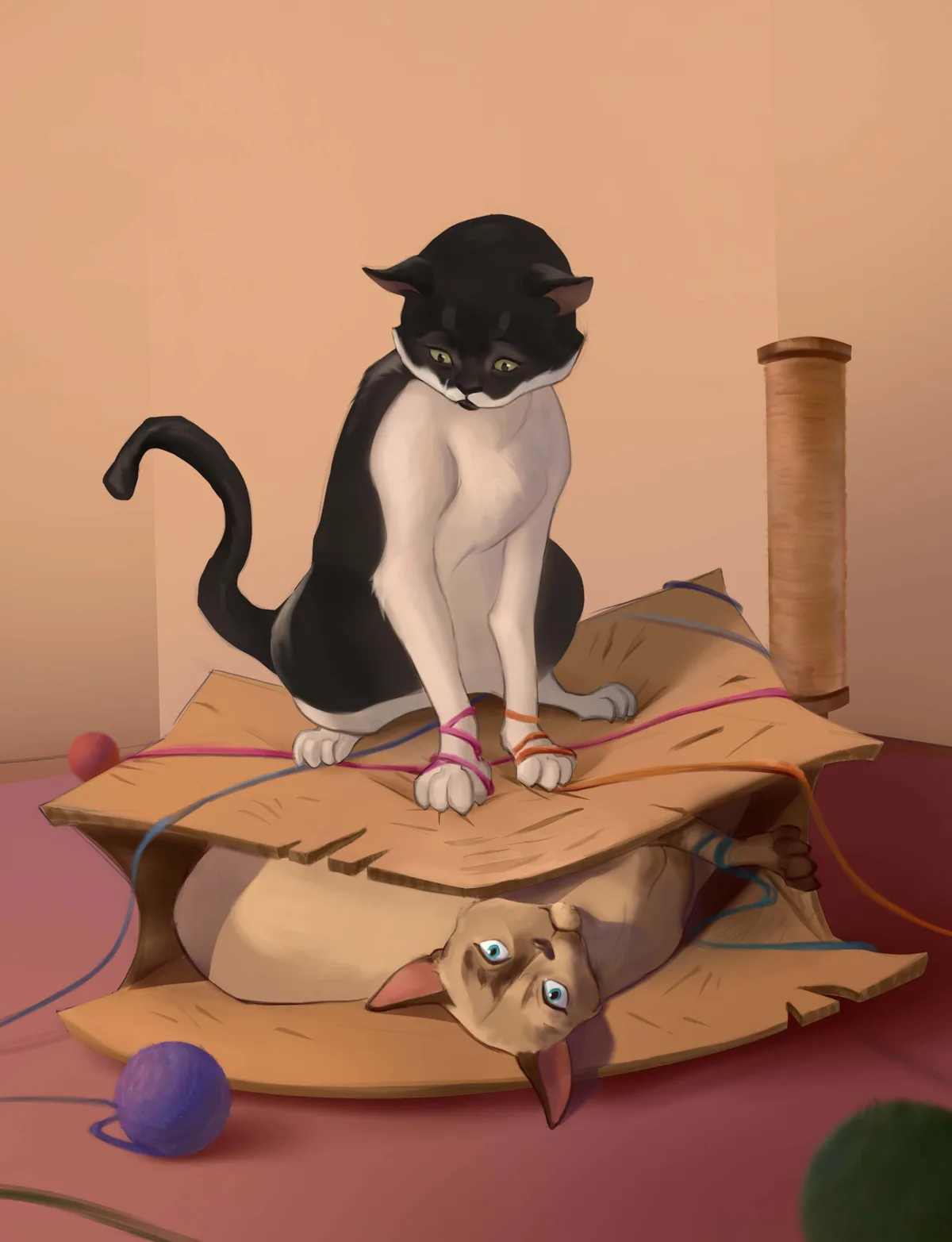 A black-and-white cat sits atop a cardboard box, looking smugly down at a hairless cat trapped underneath, tangled in…