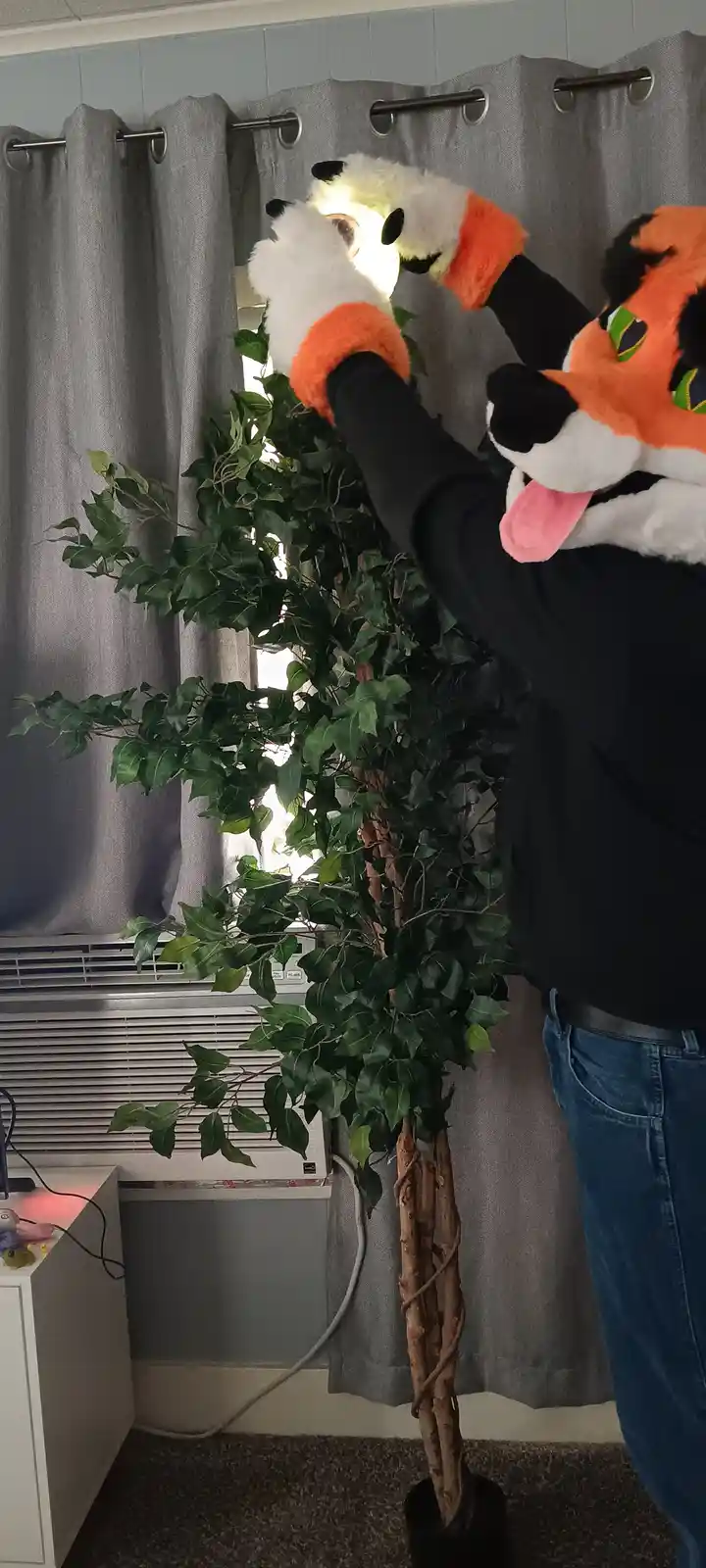 A person in an orange and black fox fursuit stands indoors, reaching up with gloved paws to hold a glowing lightbulb above a…