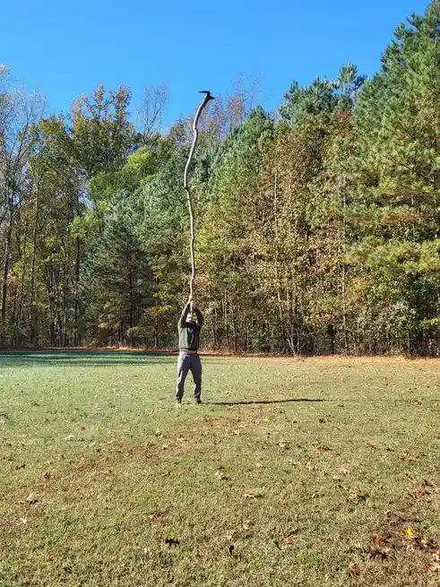 A person stands in a grassy field holding a very long, thin stick vertically above their head. The stick is curved and has a…