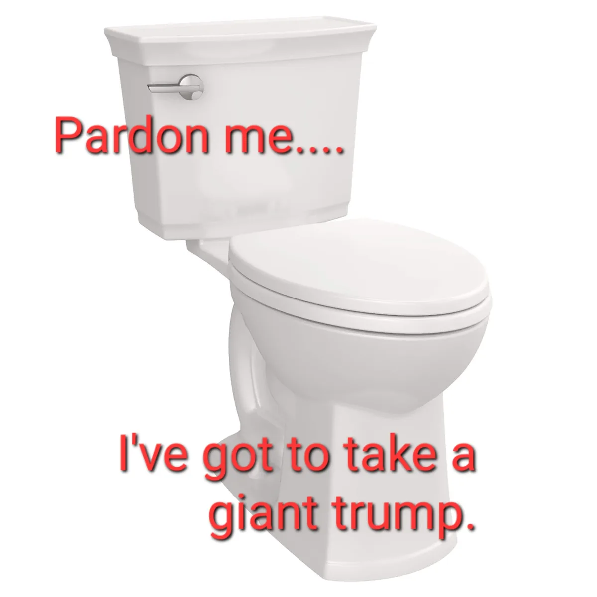 A white toilet with a closed lid is shown against a plain white background. Red text overlaid on the image reads 'Pardon…