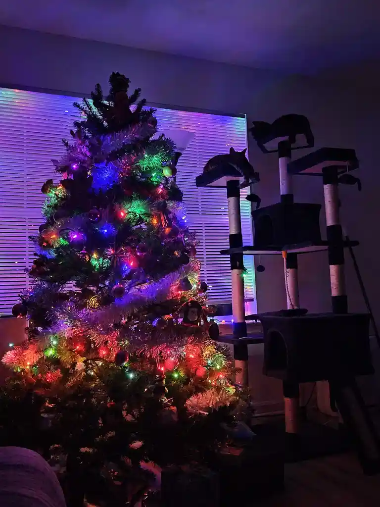 A brightly lit, multi-colored Christmas tree stands next to a multi-level cat tree with two cats resting on top platforms…