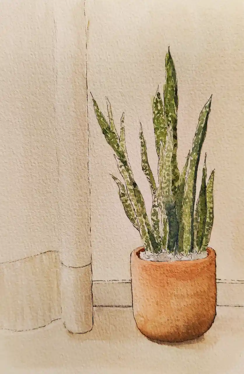 A watercolor painting depicts a snake plant in a terracotta pot sitting on a floor next to a wall and a cylindrical object…