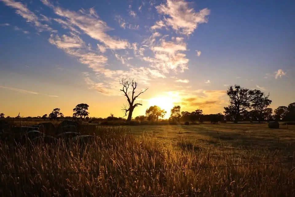 The Beauty of a New Dawn