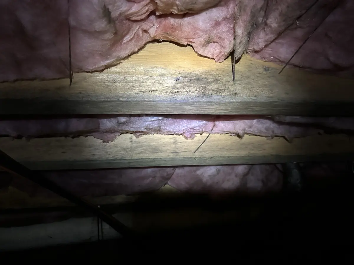 A dimly lit photo shows exposed pink fiberglass insulation between wooden attic beams, with thin wires or twine hanging…
