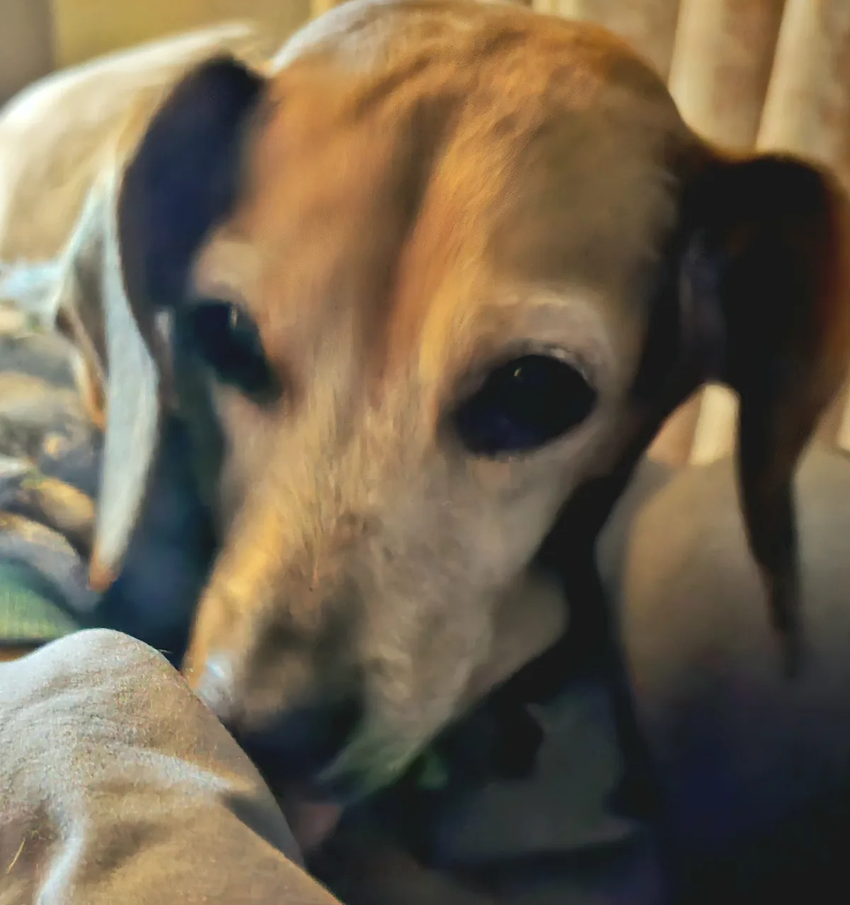 Your Daily Dose of Pepper: Spicing Up Your Day