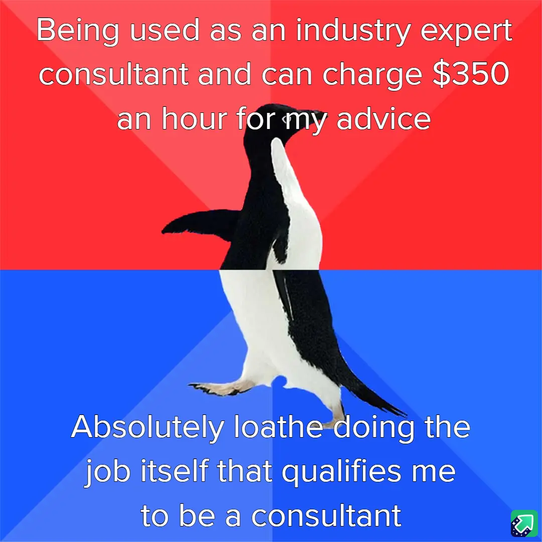 For $350 an Hour, I Can Teach You How to Avoid My Job